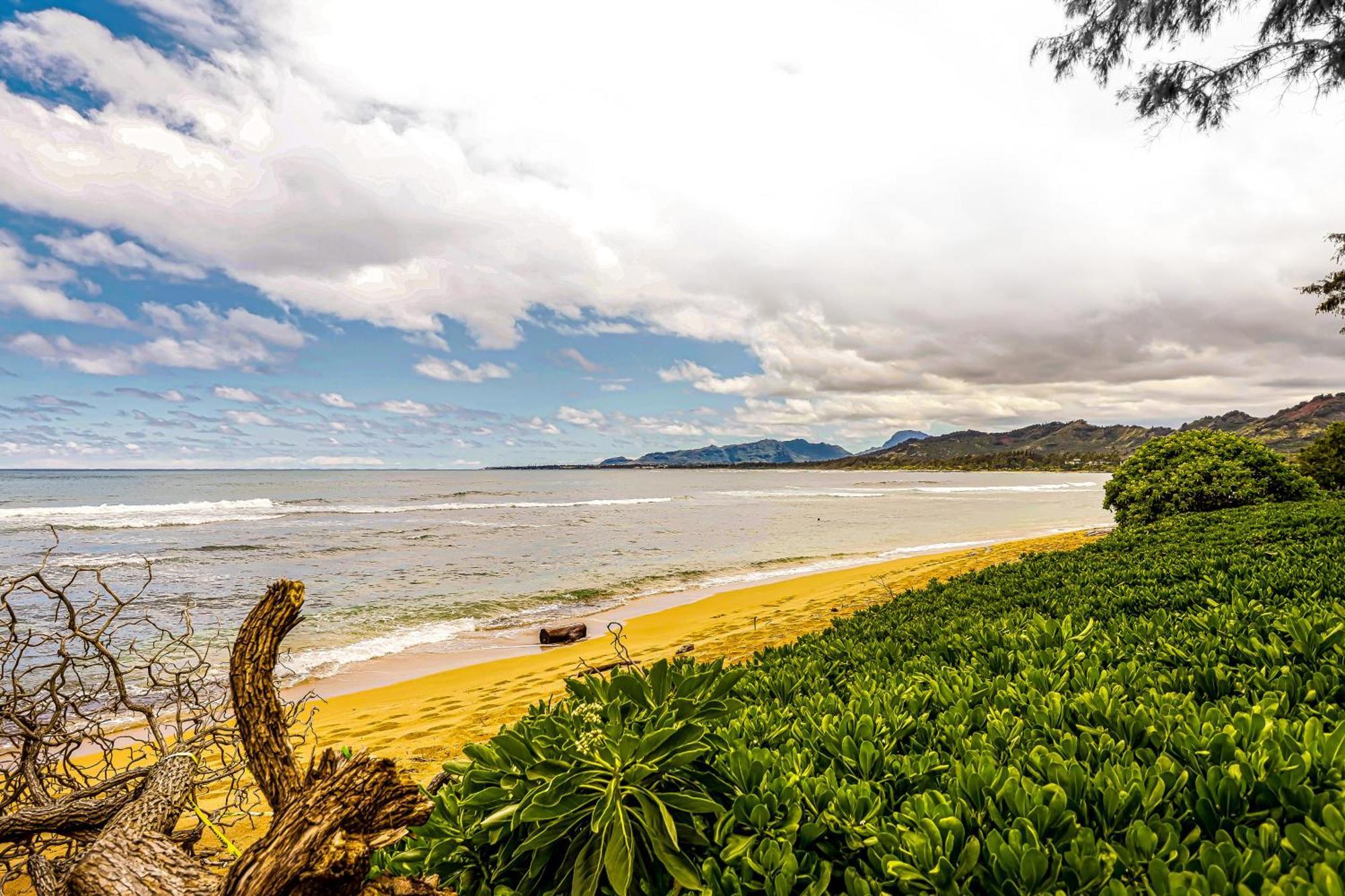 Islander On The Beach 170 カパア エクステリア 写真